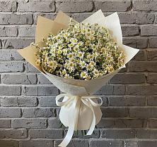 Букет цветов из:  Ромашки #REPLACE_PRED# Мирном Республика Крым