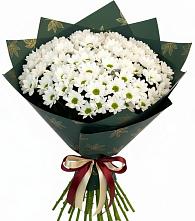 Букет цветов из:  Хризантемы в Мирном Республика Крым