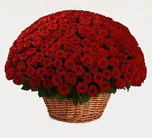 Премиум букет из: Розы в Мирном Республика Крым