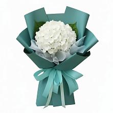 Букет цветов из:  Гортензия в Мирном Республика Крым